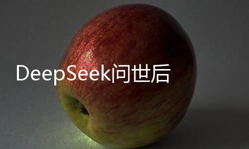 DeepSeek问世后，自研大模型还有必要吗？