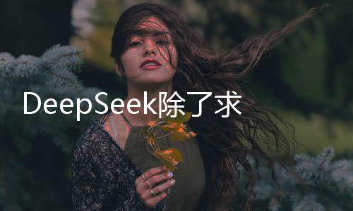 DeepSeek除了求姻缘，还能做这些！一探其功能多样性与实际应用