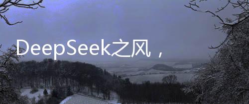 DeepSeek之风，北京高校掀起科技热潮