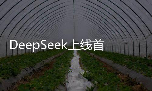DeepSeek上线首月下载量突破亿次大关，软件新宠备受瞩目
