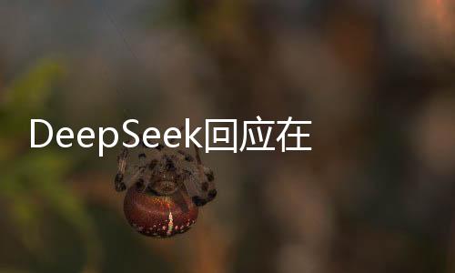 DeepSeek回应在两会走红，嘿嘿