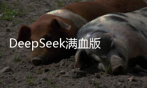 DeepSeek满血版，全新升级，引领科技新纪元