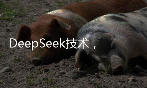 DeepSeek技术，医生的新伙伴，助力医疗领域迈向新高度