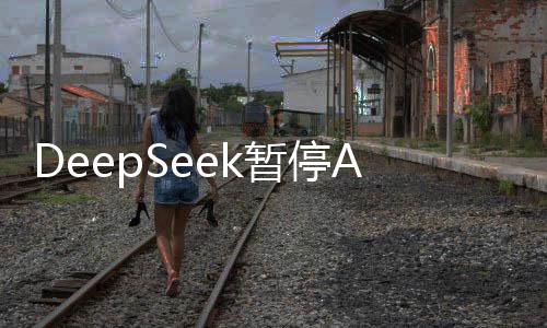 DeepSeek暂停API服务充值，深度解析事件始末与未来发展展望