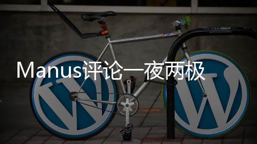 Manus评论一夜两极分化，一场意见的风暴分析