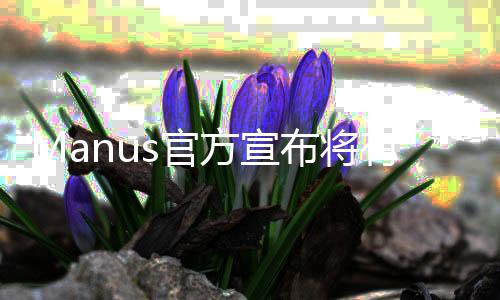 Manus官方宣布将有序释放邀请，细节解读与前景展望