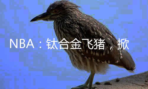 NBA：钛合金飞猪，掀翻大鲨鱼