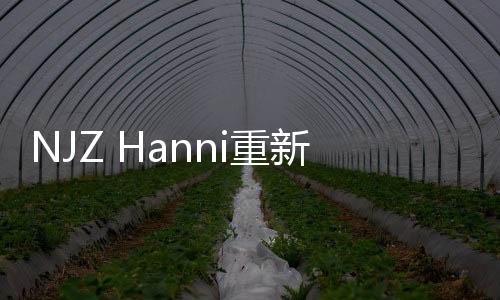 NJZ Hanni重新获得签证 非法滞留争议解决
