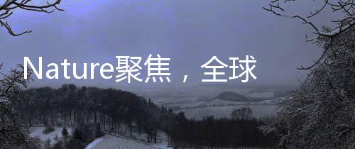 Nature聚焦，全球顶尖科学家热烈涌入DeepSeek