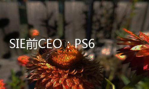 SIE前CEO：PS6仍有可能保留光驱