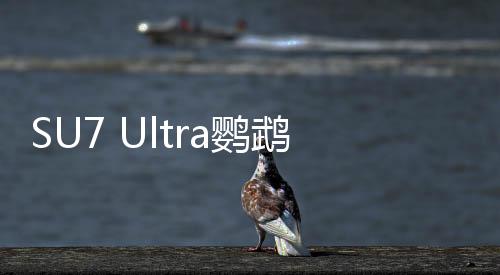 SU7 Ultra鹦鹉绿官图发布，今晚上市，引领科技新潮流