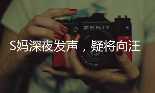 S妈深夜发声，疑将向汪小菲开战