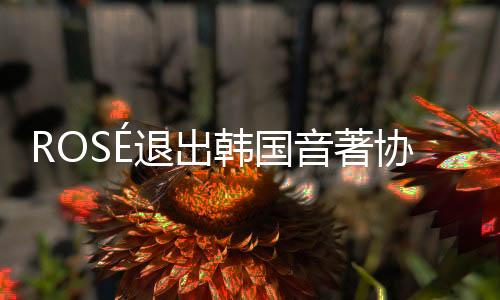 ROSÉ退出韩国音著协 将由美国著作权协会统一管理