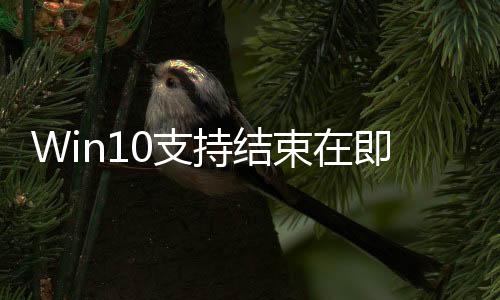 Win10支持结束在即！Win11份额大增创历史新高