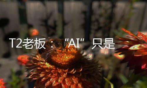 T2老板：“AI”只是热词 游戏开发数字工具早已存在