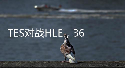 TES对战HLE，369能否抗住Zeus？