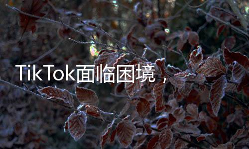 TikTok面临困境，白宫无保证，平台只能关闭——一场没有赢家的博弈