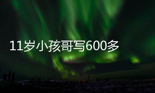 11岁小孩哥写600多行代码造火箭火了：自学编程、物理化学