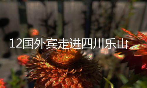 12国外宾走进四川乐山 共话友谊和发展