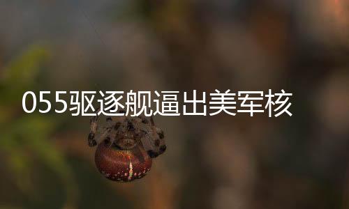 055驱逐舰逼出美军核潜艇系谣言，揭秘真相与军事谣言应对之道