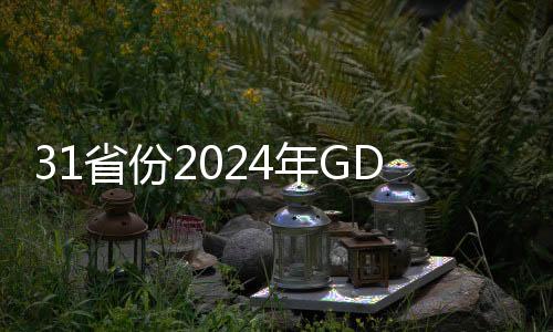 31省份2024年GDP出炉，经济发展动态与区域差异解析