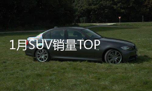1月SUV销量TOP 10，热门车型竞相辉映，自主品牌崭露头角