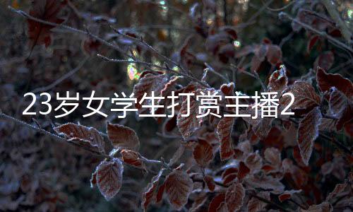 23岁女学生打赏主播200万后想退费 平台客服：成年不退