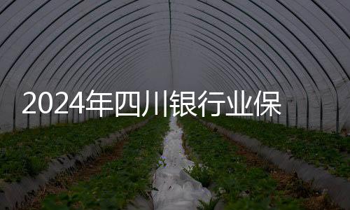 2024年四川银行业保险业运行平稳 四项指标均居西部第一