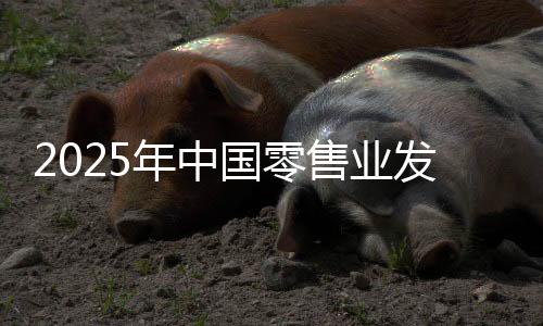 2025年中国零售业发展趋势展望：银发经济、体验经济将成价值创造点