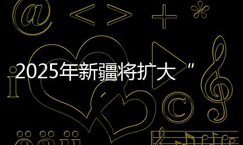 2025年新疆将扩大“国际朋友圈”