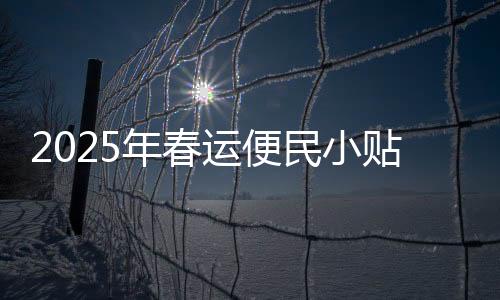 2025年春运便民小贴士——打造温馨出行体验指南