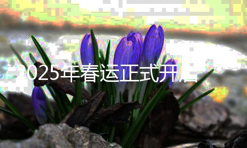 2025年春运正式开启，全方位解读春运新态势