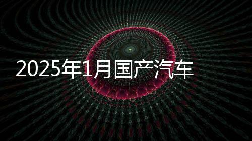 2025年1月国产汽车销量汇总