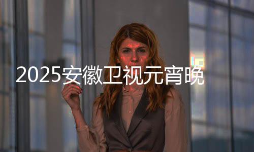 2025安徽卫视元宵晚会，璀璨灯海，共度佳节