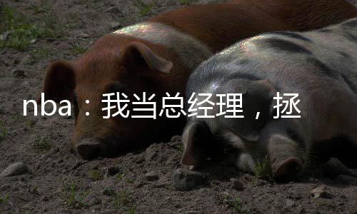 nba：我当总经理，拯救湖人