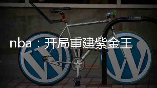 nba：开局重建紫金王朝